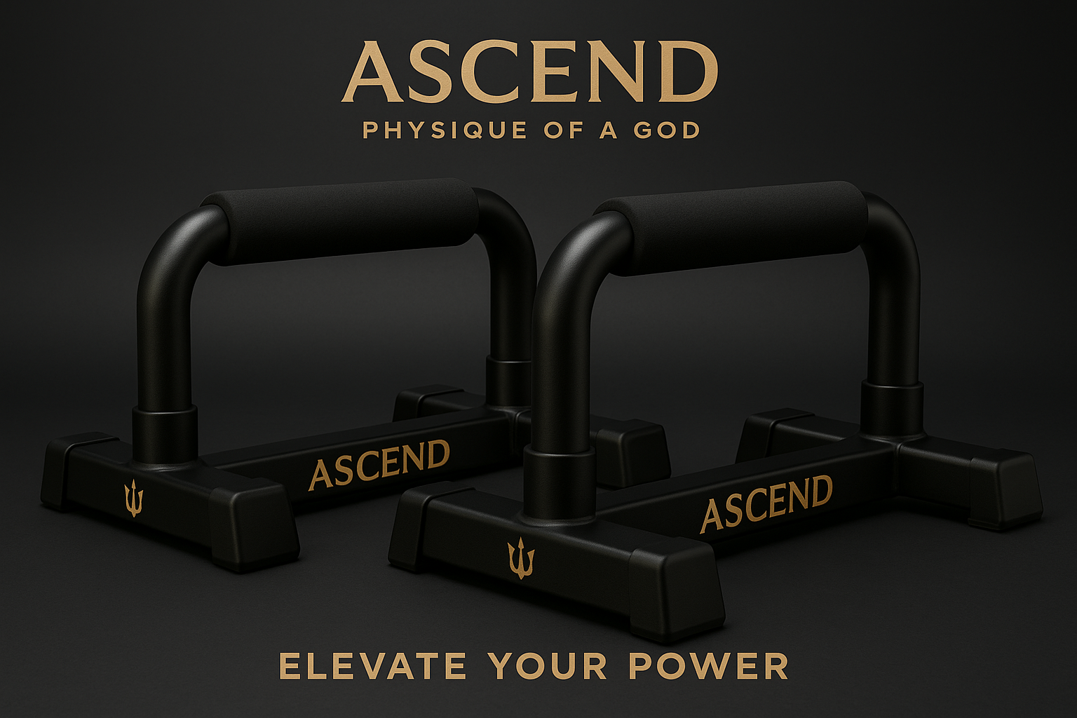 Ascend Premium Push-Up Rack