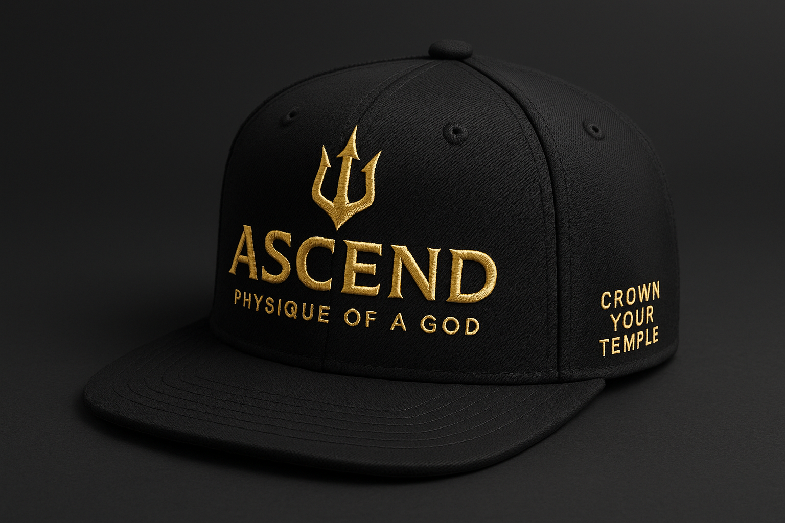 Ascend Premium Snapback Hat